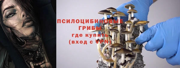 мет Гусев
