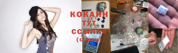 стафф Тихвин