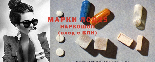 ГАЛЛЮЦИНОГЕННЫЕ ГРИБЫ Гусиноозёрск