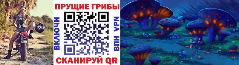Псилоцибиновые грибы прущие грибы  Изобильный 